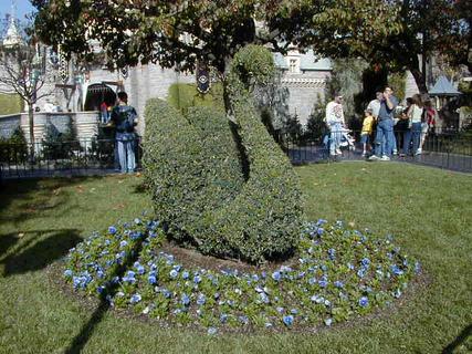 Swan-shaped bush<br>Location: <a href="https://www.google.com/maps/search/?api=1&query=33.81253,-117.91861" target="_new">Disneyland</a>